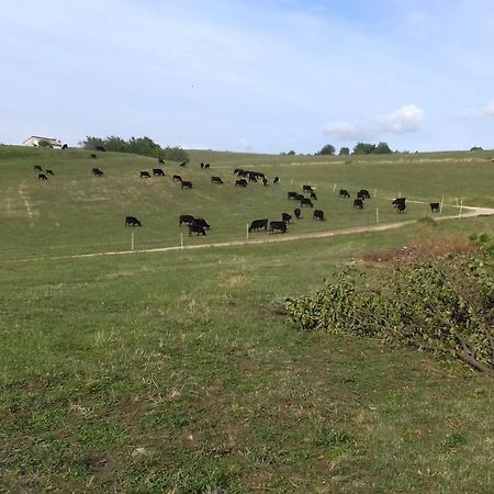Agriturismo Preele Villa Ferrara di Monte Baldo Esterno foto