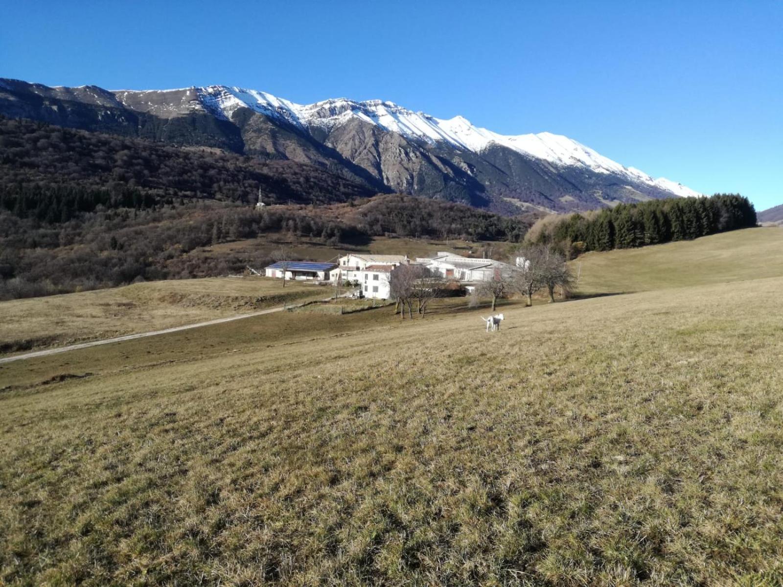 Agriturismo Preele Villa Ferrara di Monte Baldo Esterno foto