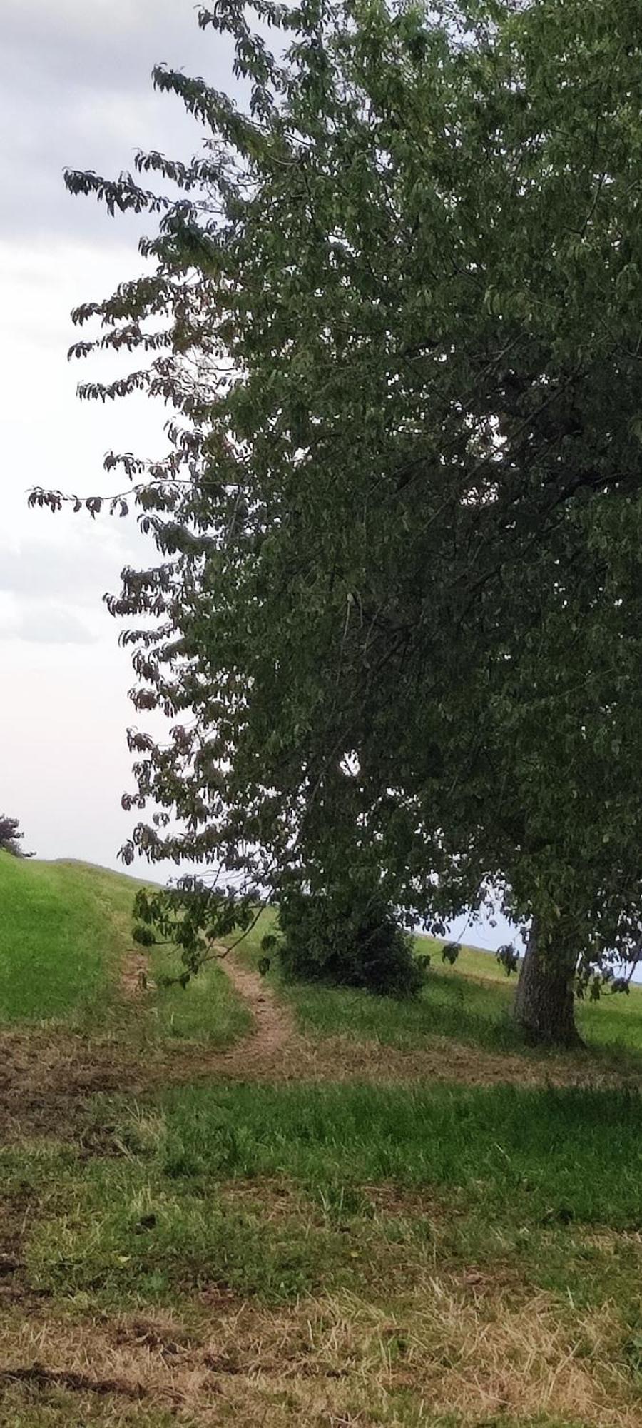 Agriturismo Preele Villa Ferrara di Monte Baldo Esterno foto